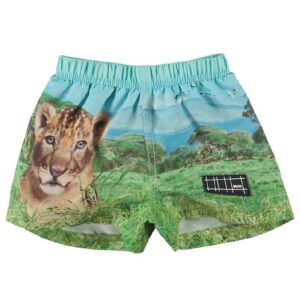 Molo Badeshorts - UV50+ - Newton - Lion Cub - 74/80 - Molo Badetøj