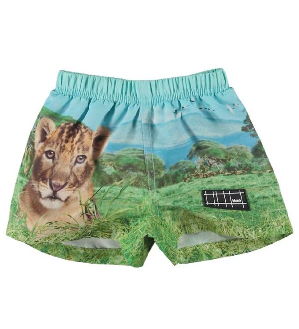 Molo Badeshorts - UV50+ - Newton - Lion Cub - 74/80 - Molo Badetøj