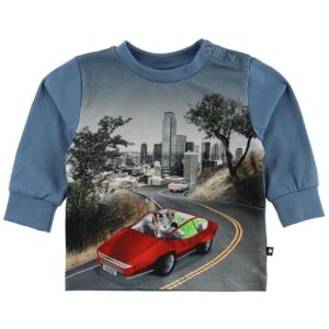 Molo Bluse - Eloy - Self-Driving Car - 56 - Molo Bluse