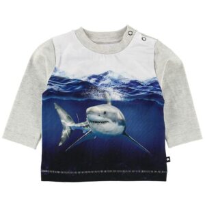 Molo Bluse - Enovan - Shark Smile - 62 - Molo Bluse