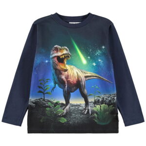 Molo Bluse - Reif - Meteor Dino