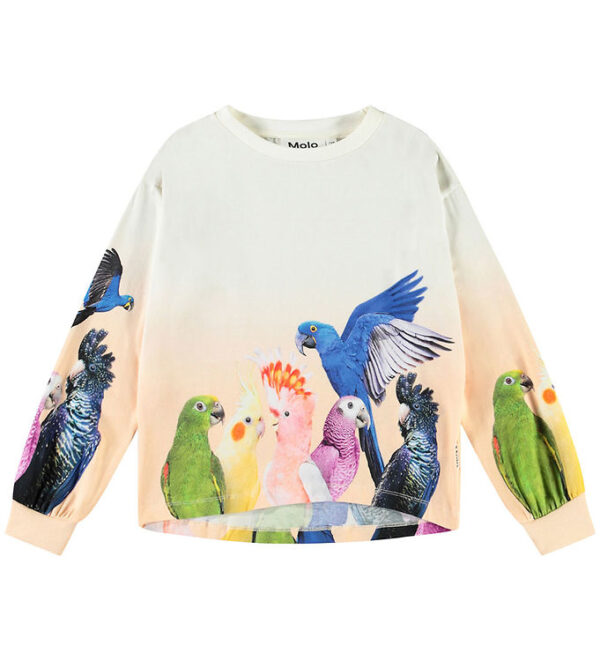 Molo Bluse - Reniza - Group Of Parrots