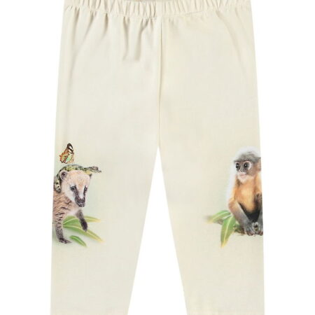 Molo Bukser - Simway - Friendly Jungle