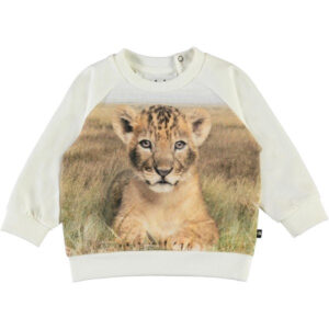 Molo - Esco Bluse - Young Lion - Str. 68