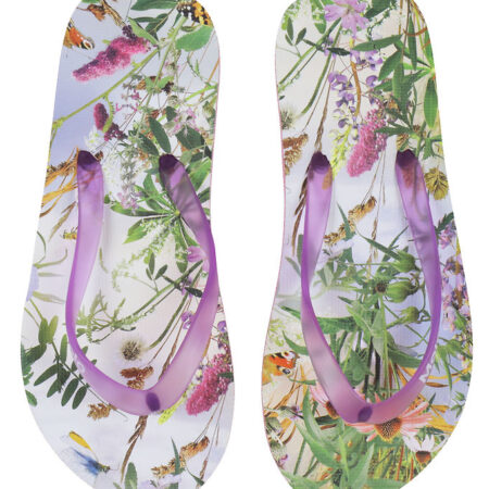 Molo Klipklapper - Zeppo - Wild Nature