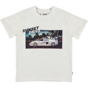 Molo - ROXO T-Shirt - Sunset Drive - Str. 110