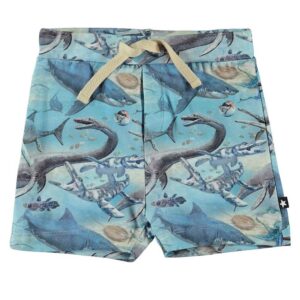 Molo Short - Simroy - Ancient Ocean - 74 - Molo Shorts