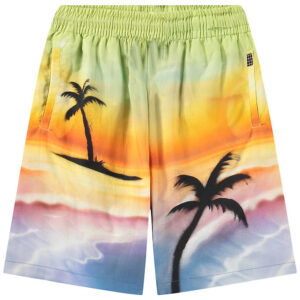Molo Shorts - Adi - Airbrush