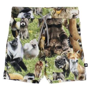 Molo Shorts - Simroy - Hairy Animals