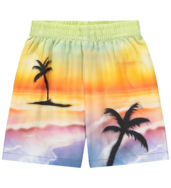 Molo Shorts - Solar - Airbrush Beach