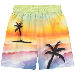 Molo Shorts - Solar - Airbrush Beach