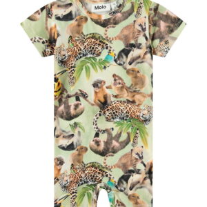 Molo Sommerdragt - Finn - Jungle Cubs