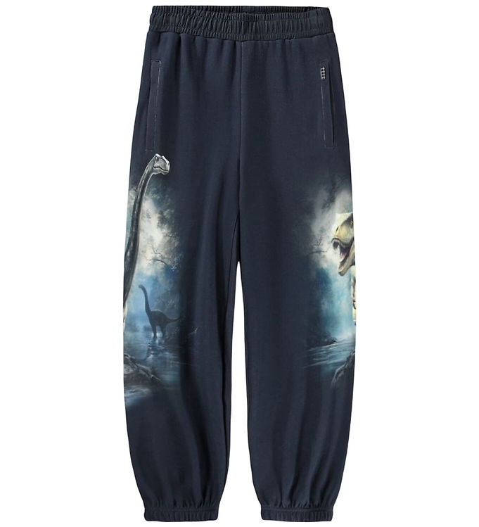 Molo Sweatpants - Aimon - Twilight Dinos