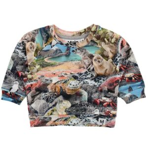 Molo Sweatshirt - Dag - Galapagos Wildlife - 56 - Molo Sweatshirt