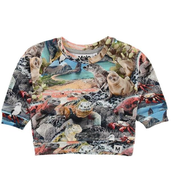 Molo Sweatshirt - Dag - Galapagos Wildlife - 56 - Molo Sweatshirt