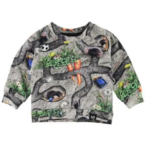 Molo Sweatshirt - Dag - Moles