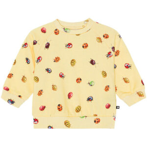 Molo Sweatshirt - Disc - Coccinella