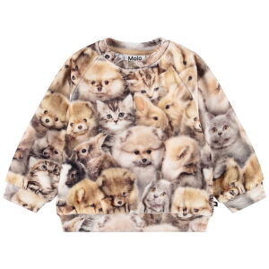 Molo Sweatshirt - Disc - Fuzzy Fluffy