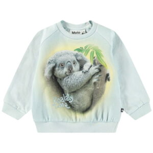 Molo Sweatshirt - Disc - Koalaty Time