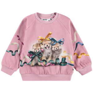 Molo Sweatshirt - Disc - Ribbon Play