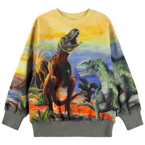 Molo Sweatshirt - Matis - Dino Art