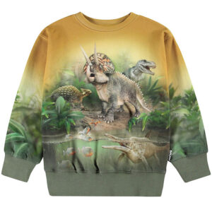 Molo Sweatshirt - Mattis - Forest Dinos
