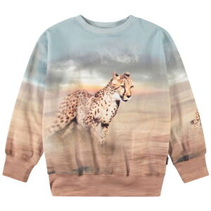 Molo Sweatshirt - Mattis - Running Cheetahs