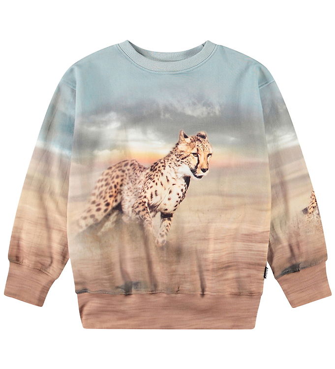Molo Sweatshirt - Mattis - Running Cheetahs