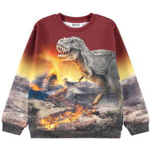 Molo Sweatshirt - Miksi - Dino Landscape