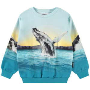 Molo Sweatshirt - Miksi - Whale Jump