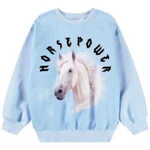 Molo Sweatshirt - Monti - HorsePower