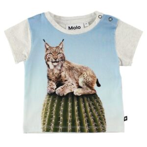 Molo T-Shirt - Eddie - Cactus Cat - 56 - Molo T-Shirt