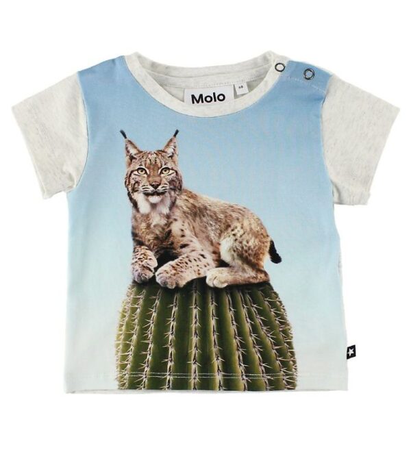 Molo T-Shirt - Eddie - Cactus Cat - 56 - Molo T-Shirt