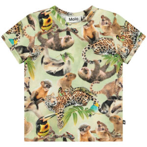 Molo T-shirt - Easy - Jungle Cubs