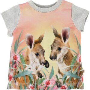 Molo T-shirt - Elly - Cute Kangaroos - 74 - Molo T-Shirt