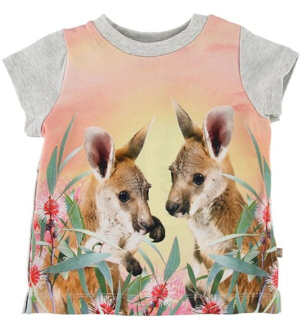 Molo T-shirt - Elly - Cute Kangaroos - 74 - Molo T-Shirt