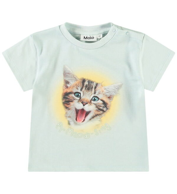 Molo T-shirt - Enzo - A-Meow-Sing