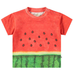 Molo T-shirt - Enzo - Be a Melon