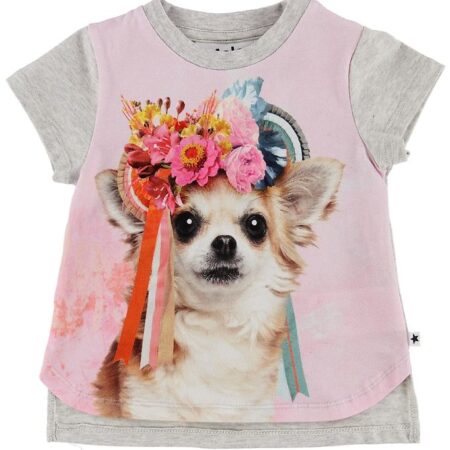 Molo T-shirt - Erin - Chihuahua