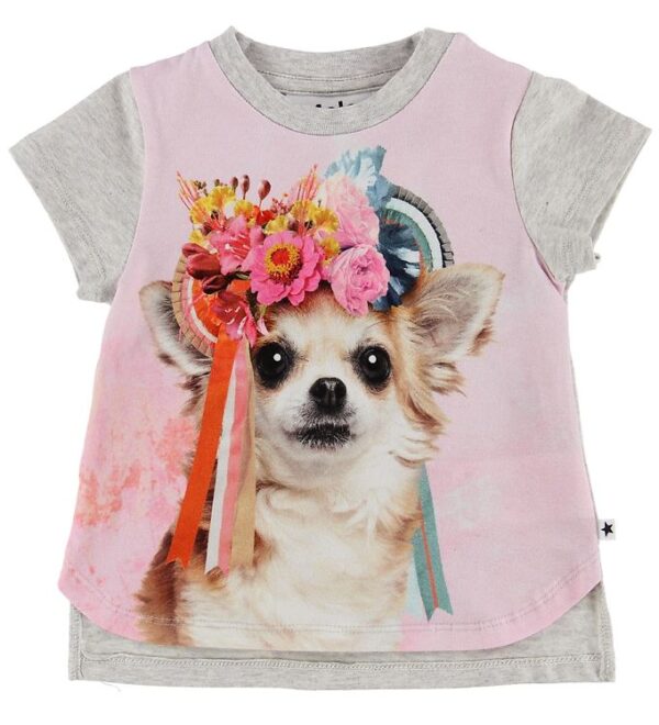 Molo T-shirt - Erin - Chihuahua - 56 - Molo T-Shirt