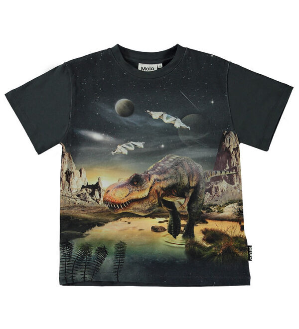 Molo T-shirt - Riley - T-Rex Planet