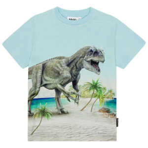 Molo T-shirt - Roxo - Beach Dino