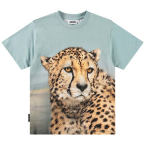 Molo T-shirt - Rubin - Big Cheetah Blue