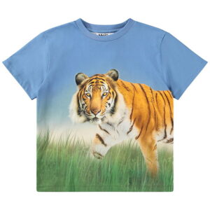 Molo T-shirt - Rubin - Tiger On Blue